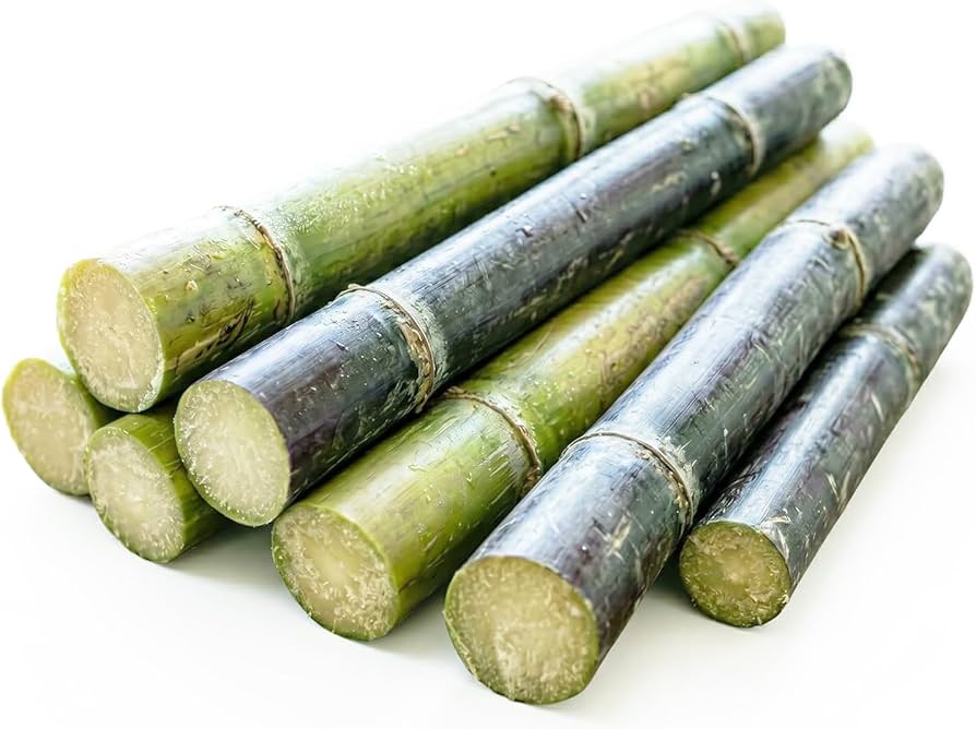 Fresh Sugarcane