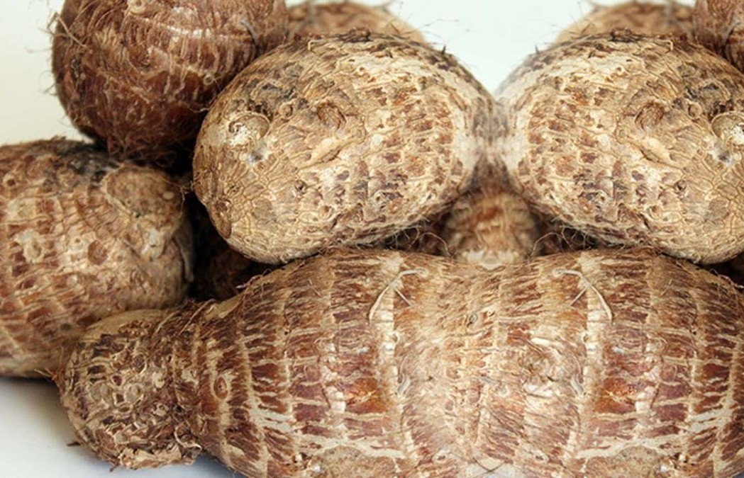 Coco Yams